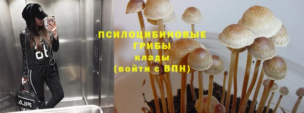 a pvp Володарск