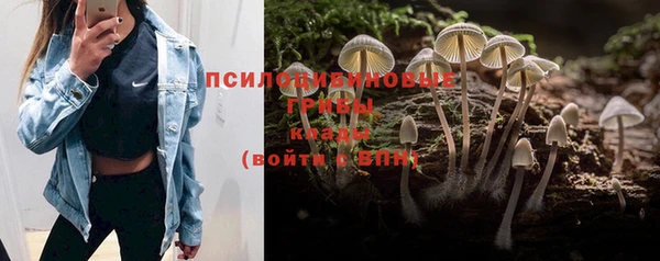 a pvp Володарск