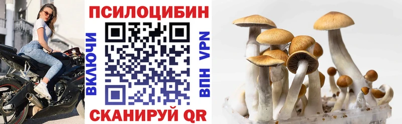 Псилоцибиновые грибы мицелий  Калачинск 